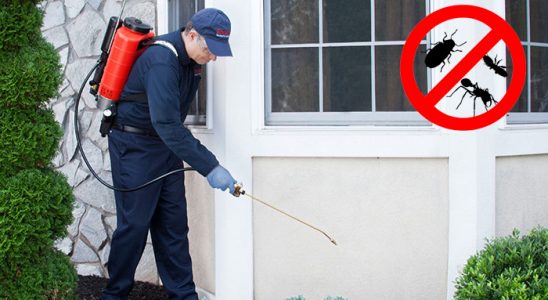 Pasinler Hamam Böceği İlaçlama böcek ilaçlama ve haşere kontrolü — ilaclama-tr.com